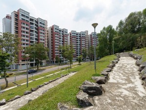 Surroundings
