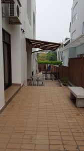 Back yard
